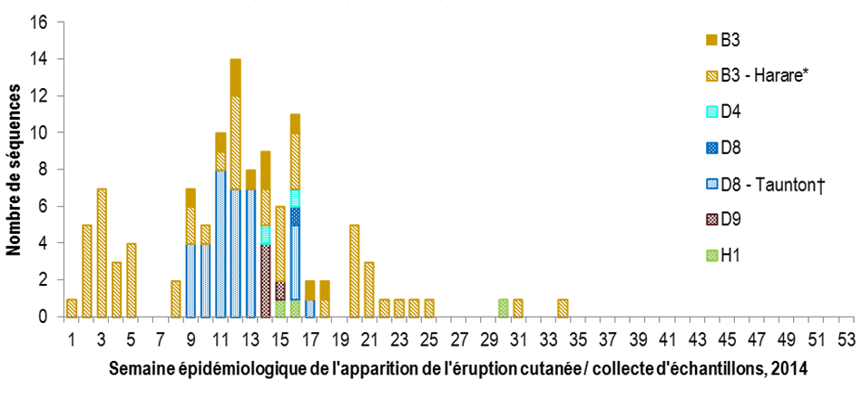 Figure 2 : Répartition des génotypes des souches de rougeole détectées dans les cas de 2014 (n = 111) par semaine d'apparition de l'éruption cutanée (si disponible, n = 94) ou collecte d'échantillons (n = 17)