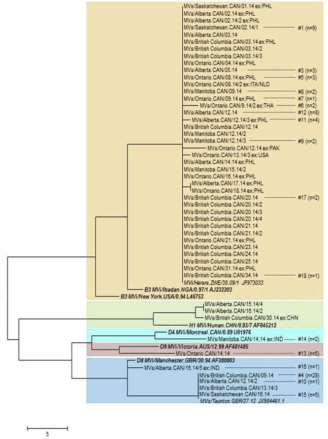 Figure 3 : Arbre phylogénétique des séquences rougeoleuses N-450 détectées au Canada en 2014 (n = 111)