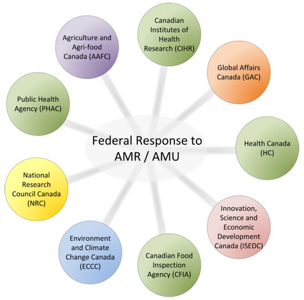 Figure 1: Federal departments taking action on AMR through the Federal Action Plan