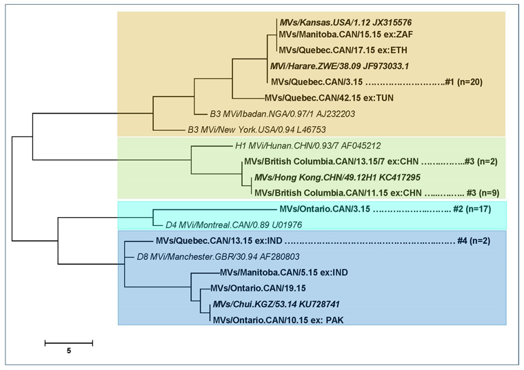 Figure 3: Phylogenetic tree of measles N-450 sequences detected in Canada in 2015 (n=56)
