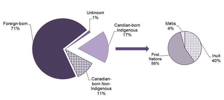 Figure 6: Distribution of active tuberculosis cases (new and re-treatment) by origin, Canada, 2015