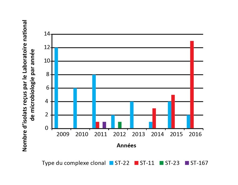 Figure 1 : Analyse clonale des isolats invasifs de Neisseria meningitidis de sérogroupe W (MenW) au Canada de 2009 à 2016