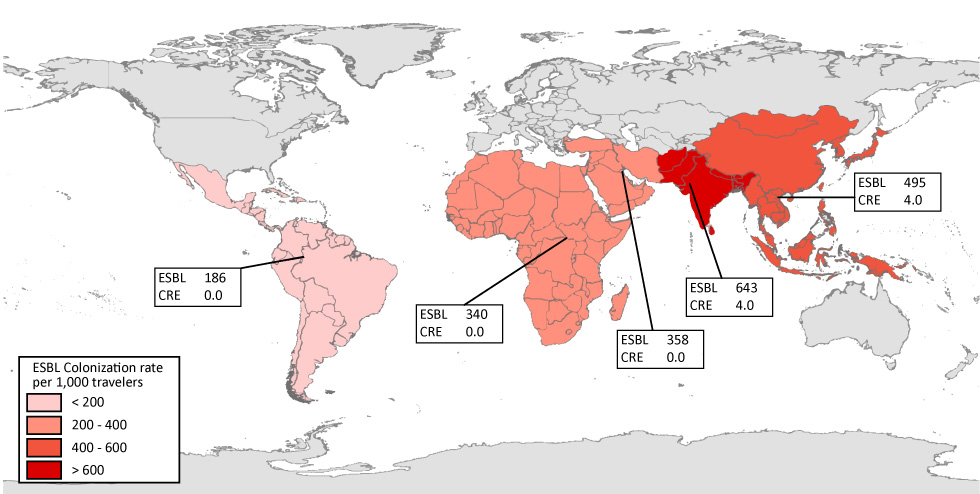 Figure 1: The number of extended spectrum beta-lactamase (ESBL) producing and carbapenem-resistant Enterobacteriaceae (CRE) per 1,000 travellers by region visited