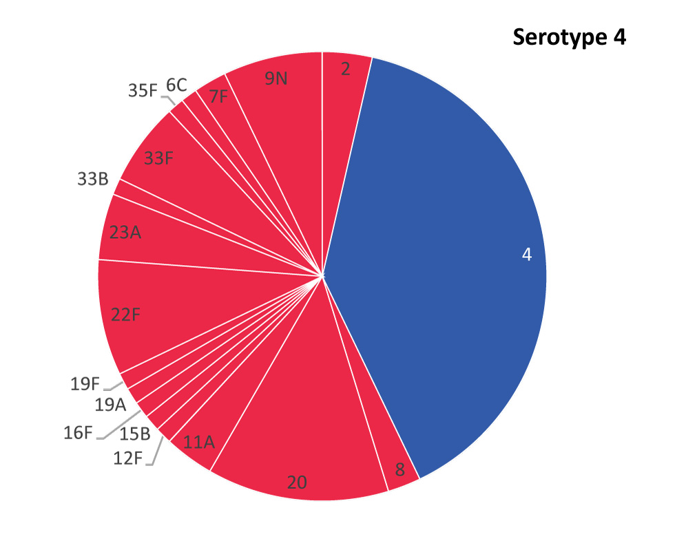 Figure 1B: Serotype distribution of Streptococcus pneumoniae isolates from patients with invasive pneumococcal disease within the South Island Health Service Delivery Area (British Columbia, Canada), August 1, 2016–September 1, 2017