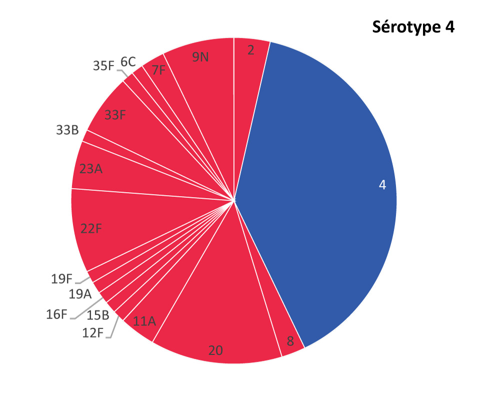 Figure 1B : Distribution sérotypique des isolats de Streptococcus pneumoniae chez des patients atteints de pneumococcie invasive dans la zone de prestation de services de santé du sud de l’île (Colombie-Britannique, Canada), du 1er août 2016 au 1er septembre 2017