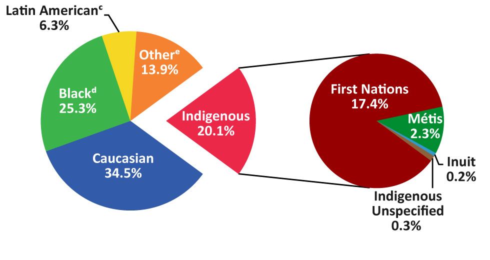 Figure 3: Proportion of reported HIV cases (n=1,184) by race/ethnicity and Indigenous subgroups—Canada, 2017