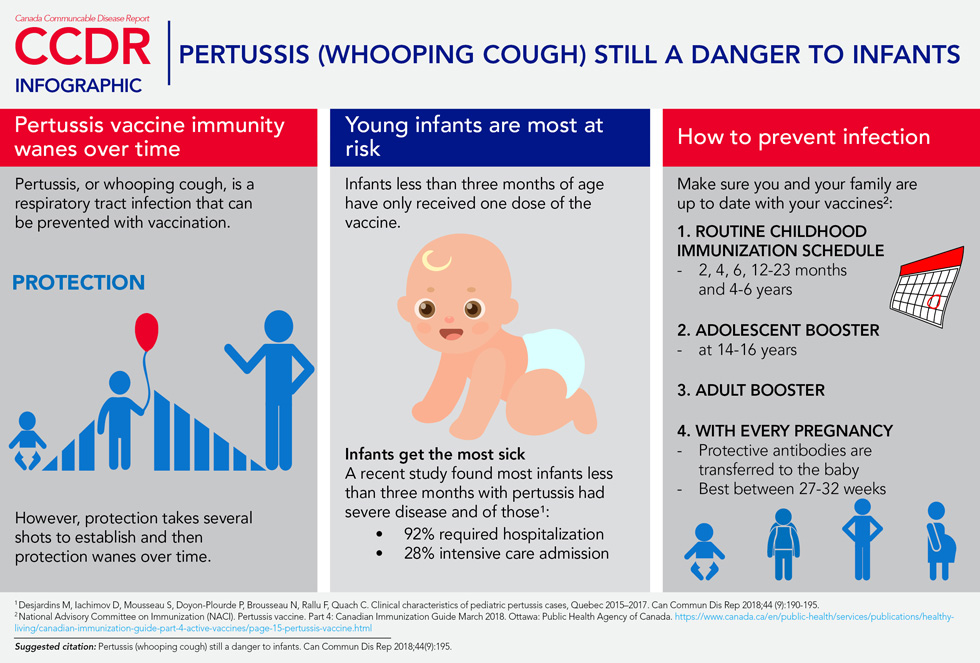 Volume 44-9, September 6, 2018: Pertussis (whooping cough) still a danger to infants: infographic