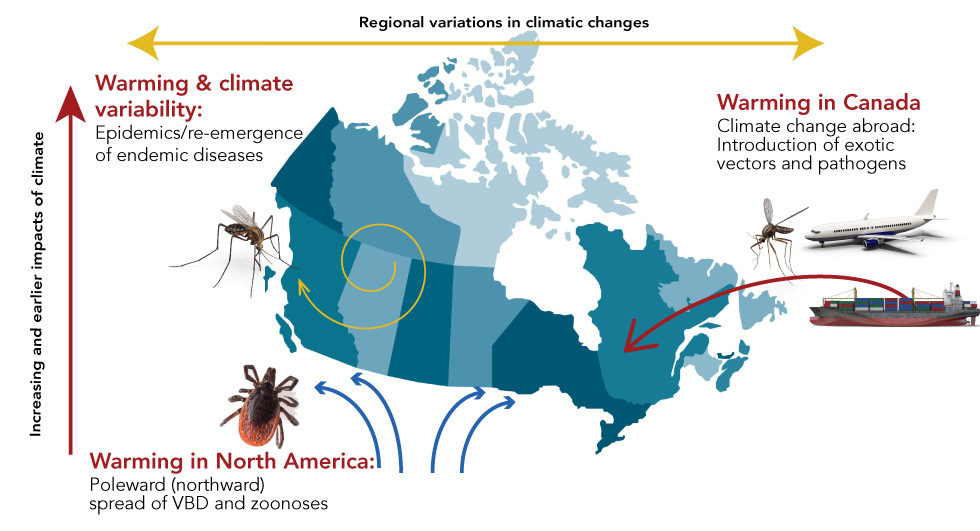 Figure 3: A summary of climate change effects on infectious disease risks for Canada