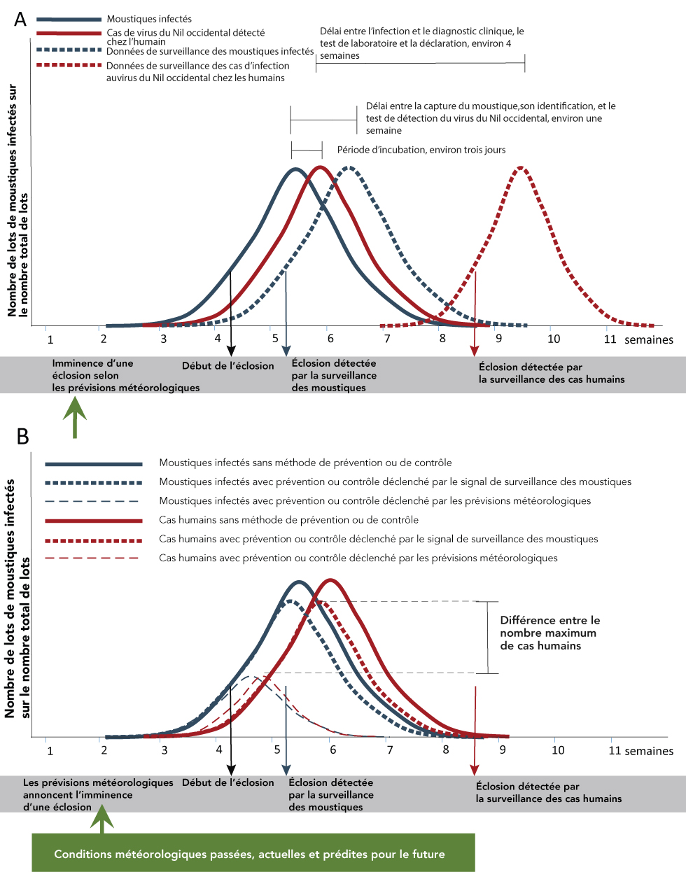 Figure 1 : Comment les prédictions du risque basées sur les prévisions métérologiques facilitent l’intervention précoce des autorités sanitaires publiques face à une éclosion de maladies transmises par les moustiques