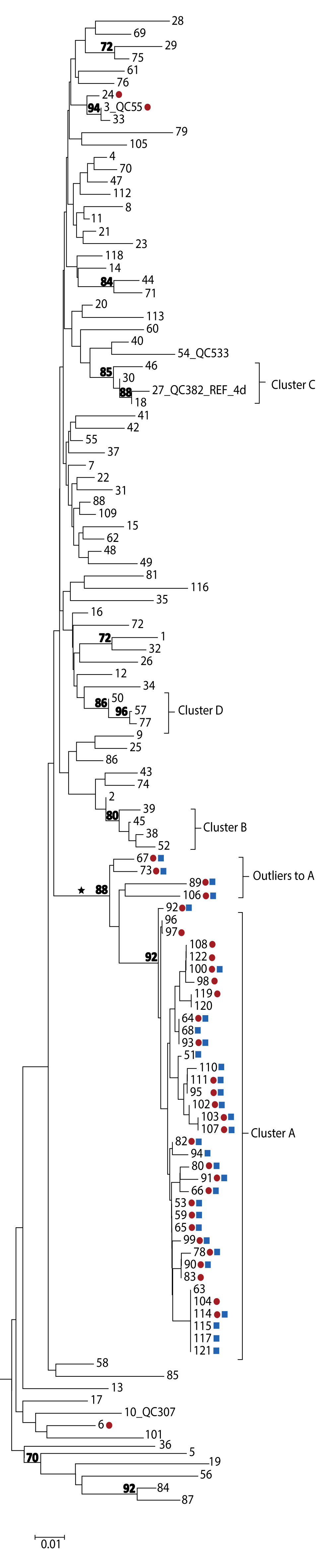 Figure 2: Phylogenetic tree of genotype 4d NS5B hepatitis C virus isolate sequences, Quebec, Canada, November 2001 to December 2017 (n=122)
