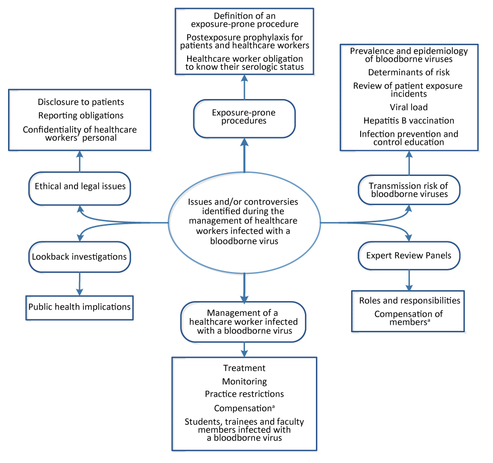 Figure 1: Key issues and/or controversies regarding the management of a healthcare worker infected with a bloodborne virus