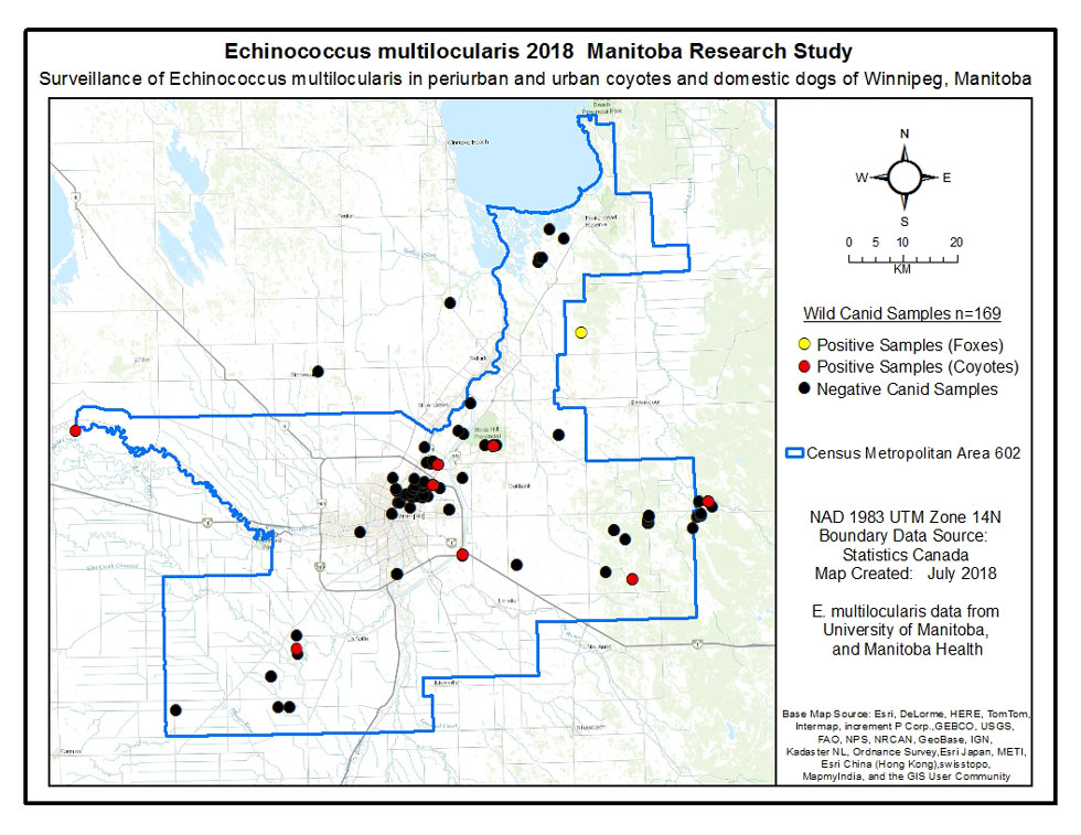 Figure 2: Map of the distribution of canid sample collection in the metropolitan area of Winnipeg, indicating Echinococcus multilocularis-positive samples