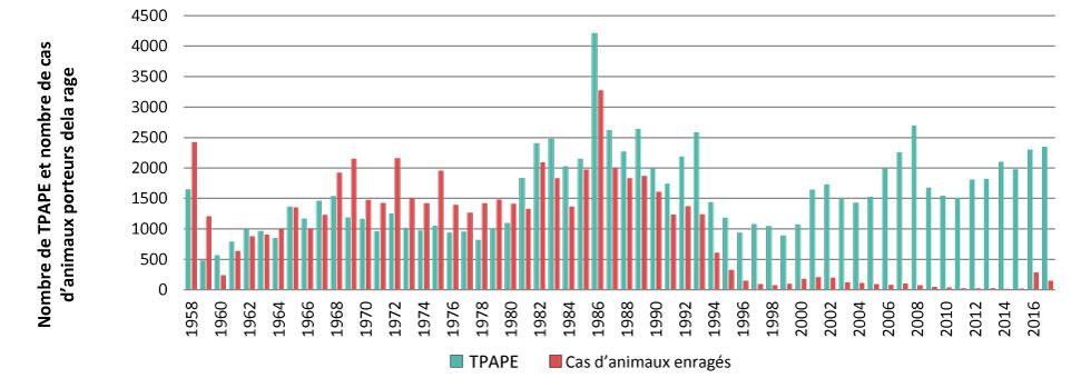 Figure 2 : Nombre annuel de cas de rage animale (animaux terrestres et chauves-souris) et nombre annuel de traitements préventifs antirabiques post-exposition administrés ou recommandés (y compris les expositions à l’extérieur de l’Ontario), Ontario, 1958 à 2017