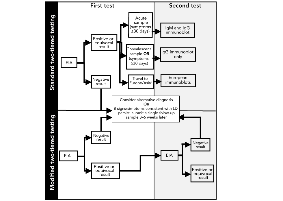 Figure 1: Schematic depicting steps in standard two-tiered testing and modified two-tiered testing for Lyme disease