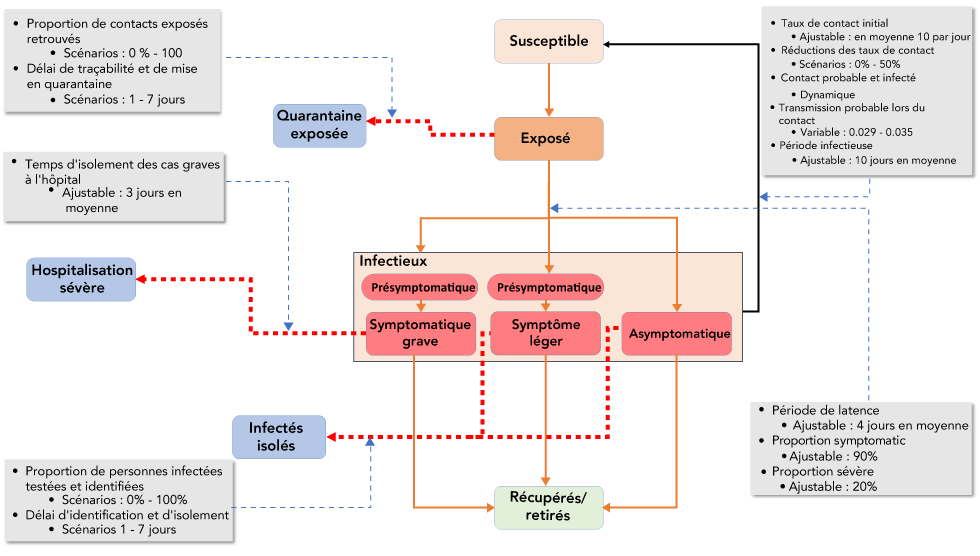 Figure 1 : Schéma du modèle de compartiments Analytica 5.3 montrant le flux de populations entre les compartiments