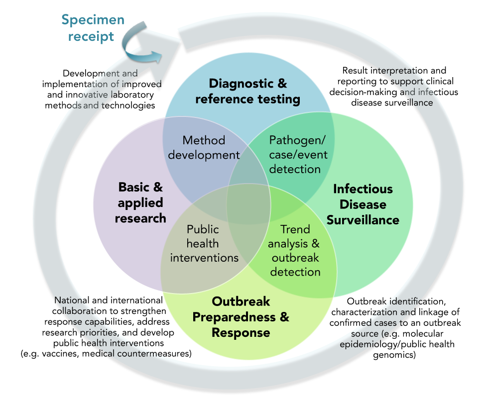 Figure 1: Interdependencies of Public Health Laboratory response functions