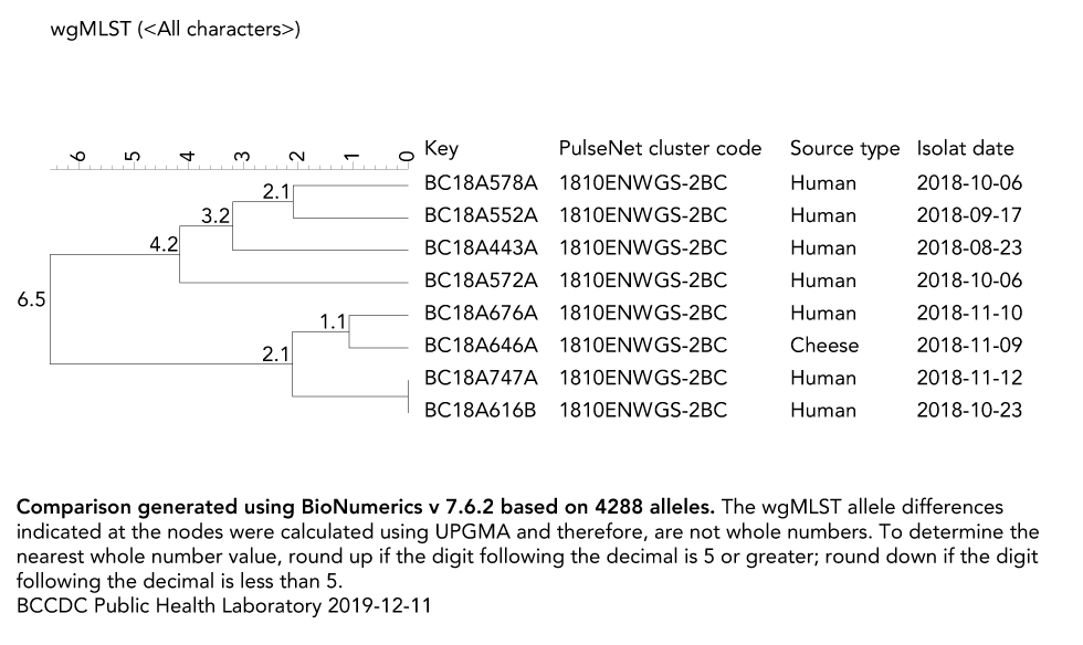 Figure 2: Phylogenetic tree of Escherichia coli O121 outbreak cases and cheese A sample, British Columbia, 2018