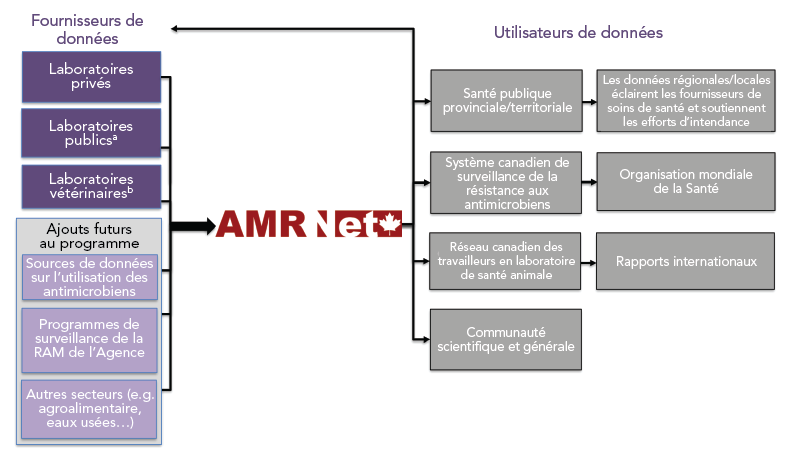 Figure 1. La version textuelle suit.