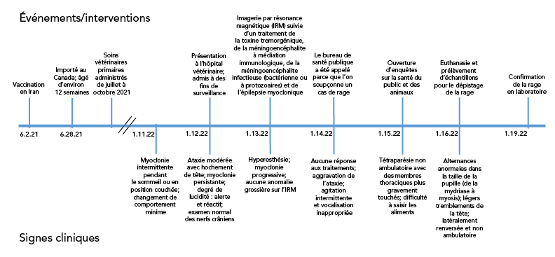 Figure 1. La version textuelle suit.