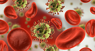 VIH et autres infections transmissibles sexuellement et par le sang –  novembre/décembre 2023