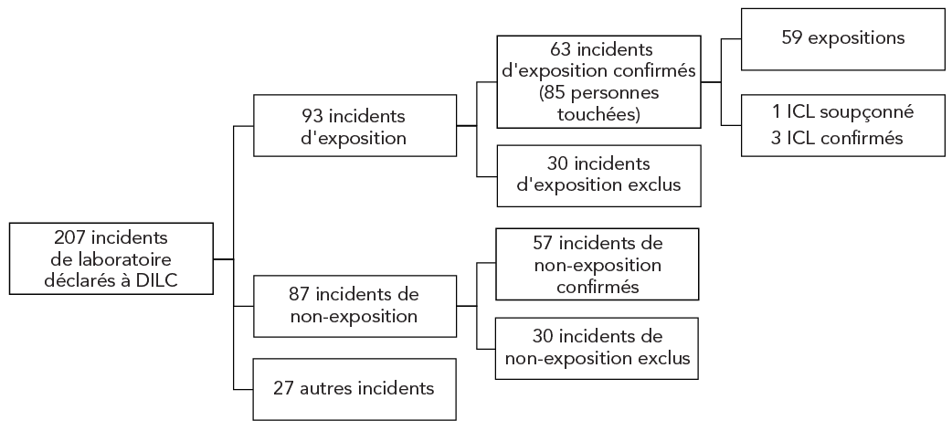 Figure 1. La version textuelle suit
