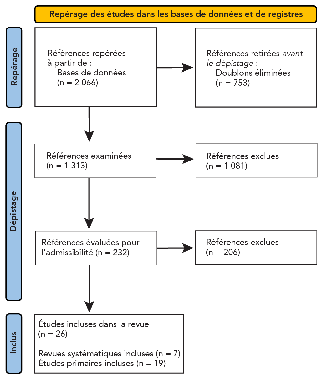 Figure 1. La version textuelle suit