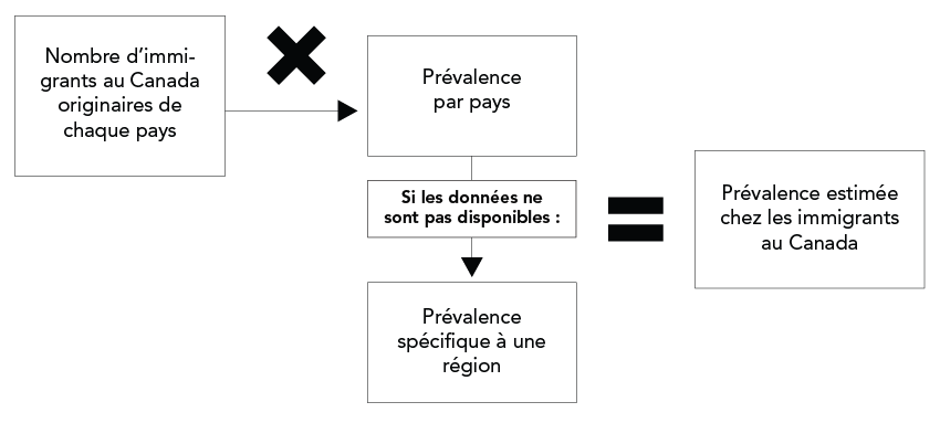 Figure 1. La version textuelle suit