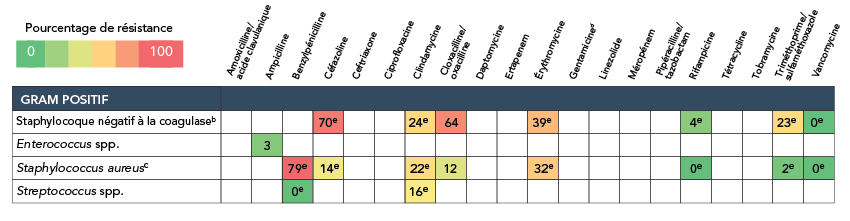 Figure 6. La version textuelle suit