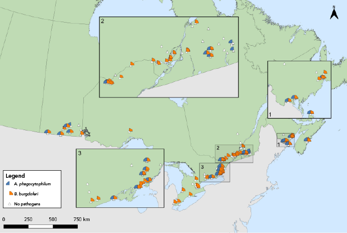 Figure 5. Text version below.