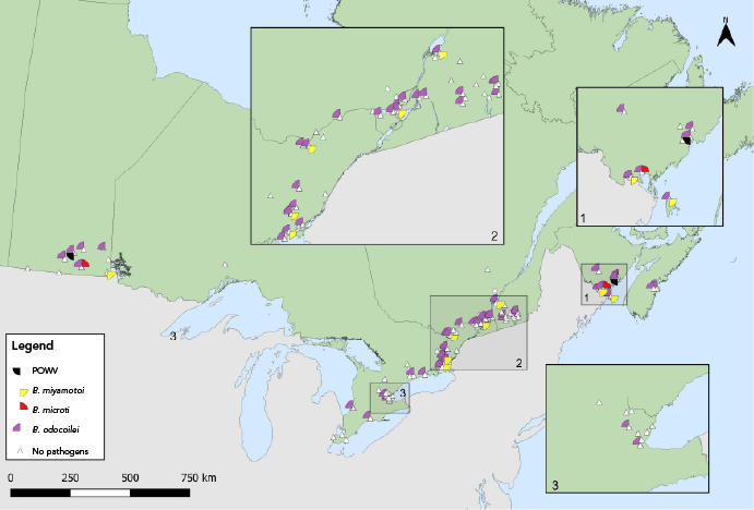 Figure 6. Text version below.