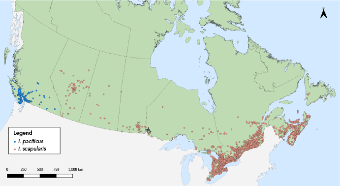 Figure 1. Text version below.