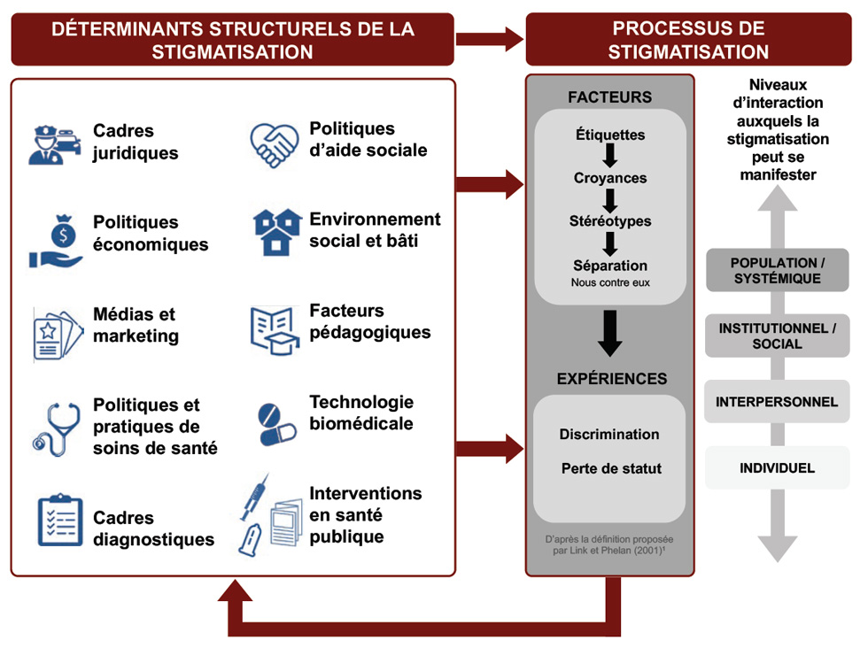 Figure 3. Cadre conceptuel des domaines de déterminants structurels en relation avec le processus de stigmatisation