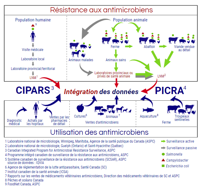 Composantes de surveillance intégrée du PICRA