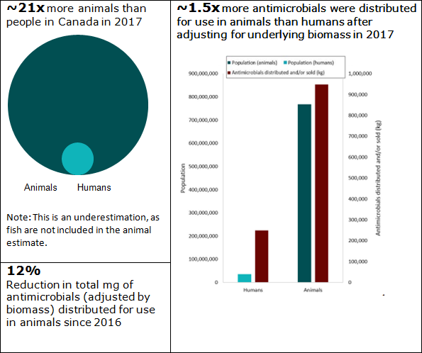 Figure 2. Percentage of antimicrobials distributed or sold in 2017. Text description follows.