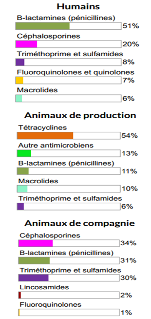Figure 4. Proportion de la quantité totale en kilogrammes des classes d'antimicrobiens distribuées et/ou vendues en 2017 chez les humains, les animaux de production et les animaux de compagnie. Équivalent textuel ci-dessous.
