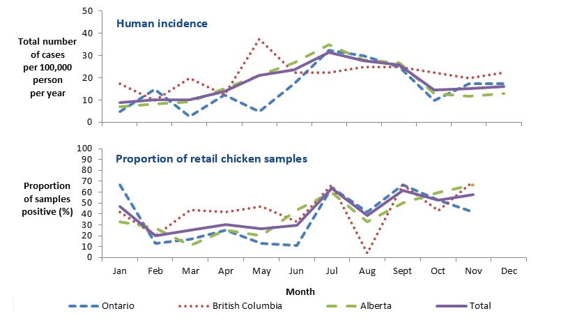 Figure 1.4 Human incidence rate (per 100,000 person-years) for endemic Campylobacter cases and proportion of retail chicken samples positive for Campylobacter by month across FoodNet Canada's sentinel sites, 2016. Text description follows.