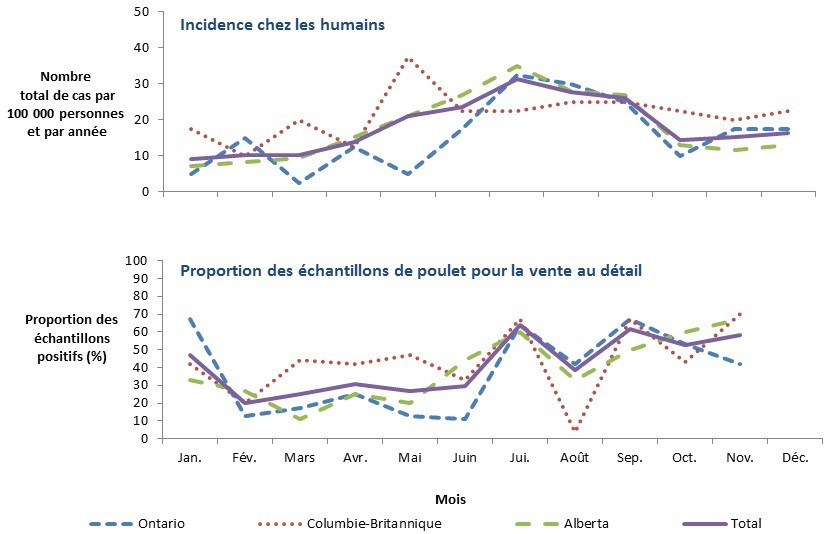 Figure 1.4 Taux d'incidence humaine (par 100 000 personnes-années) pour les cas endémiques de Campylobacter et proportion des échantillons de poulet vendu au détail contaminés par Campylobacter par mois dans les sites sentinelles de FoodNet Canada, 2016. Équivalent textuel ci-dessous.