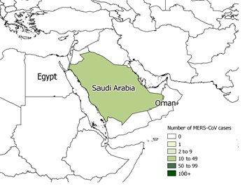 A figure indicating the spatial distribution of human cases of MERS-CoV in April 2019. 