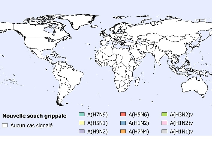 Une figure indiquant la répartition spatiale des cas humains des grippes aviaires et porcines en juin 2019.