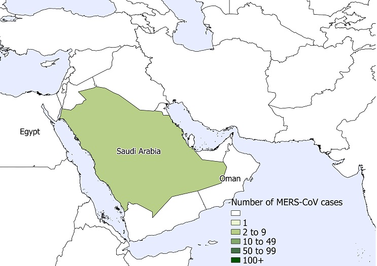 A figure indicating the spatial distribution of human cases of MERS-CoV in June 2019.