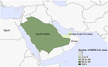 A figure indicating the spatial distribution of human cases of MERS-CoV in September 2019.