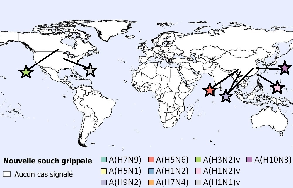 Une figure indiquant la répartition spatiale des cas humains des grippes aviaires et porcines en juin 2021 (n=7).