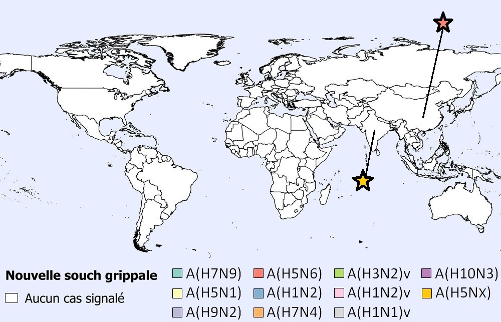 Une figure indiquant la répartition spatiale des cas humains des grippes aviaires et porcines en juillet 2021 (n=5).
