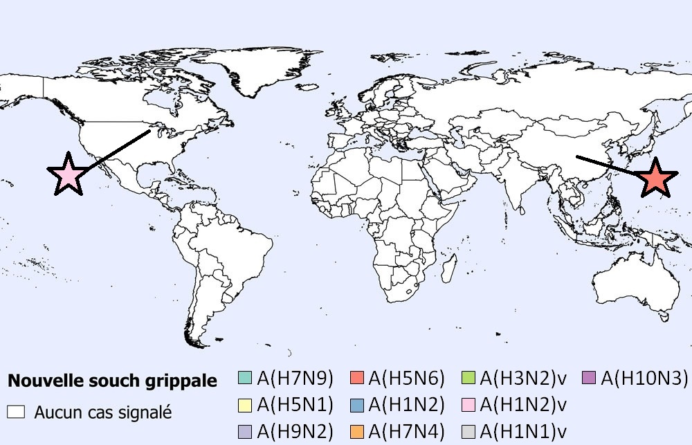 Une figure indiquant la répartition géographique des cas humains de grippe aviaire et porcine dans le monde en août 2021 (n=8).