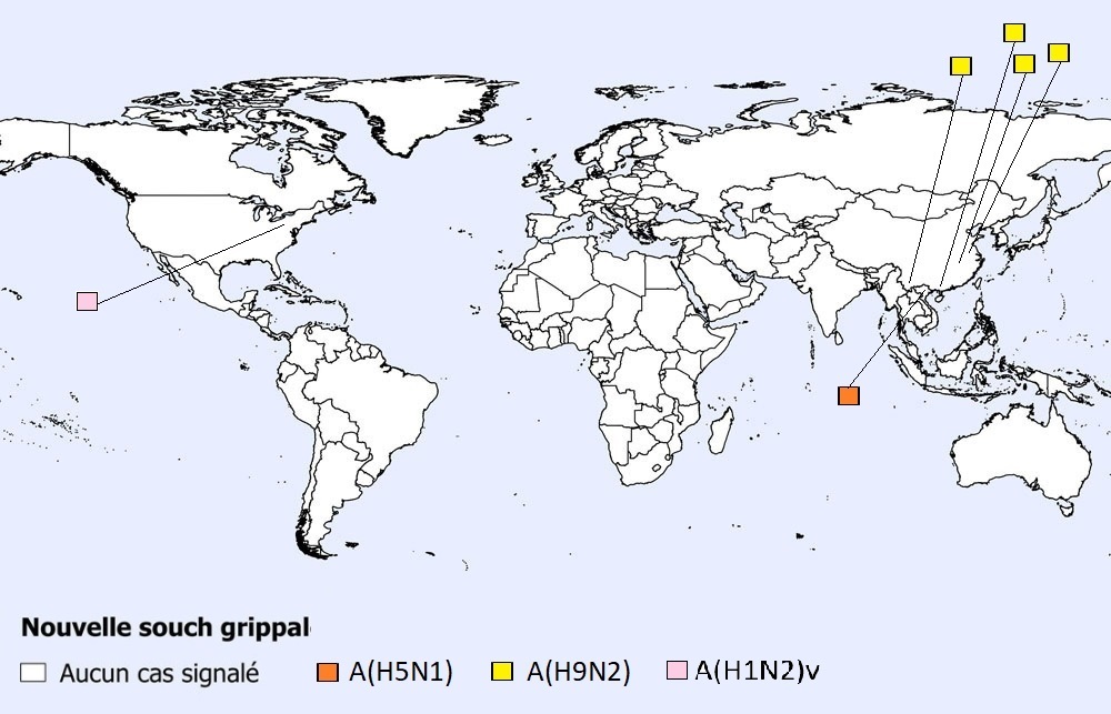 Figure 1. La version textuelle suit