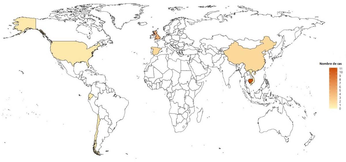 Figure 2. La version textuelle suit