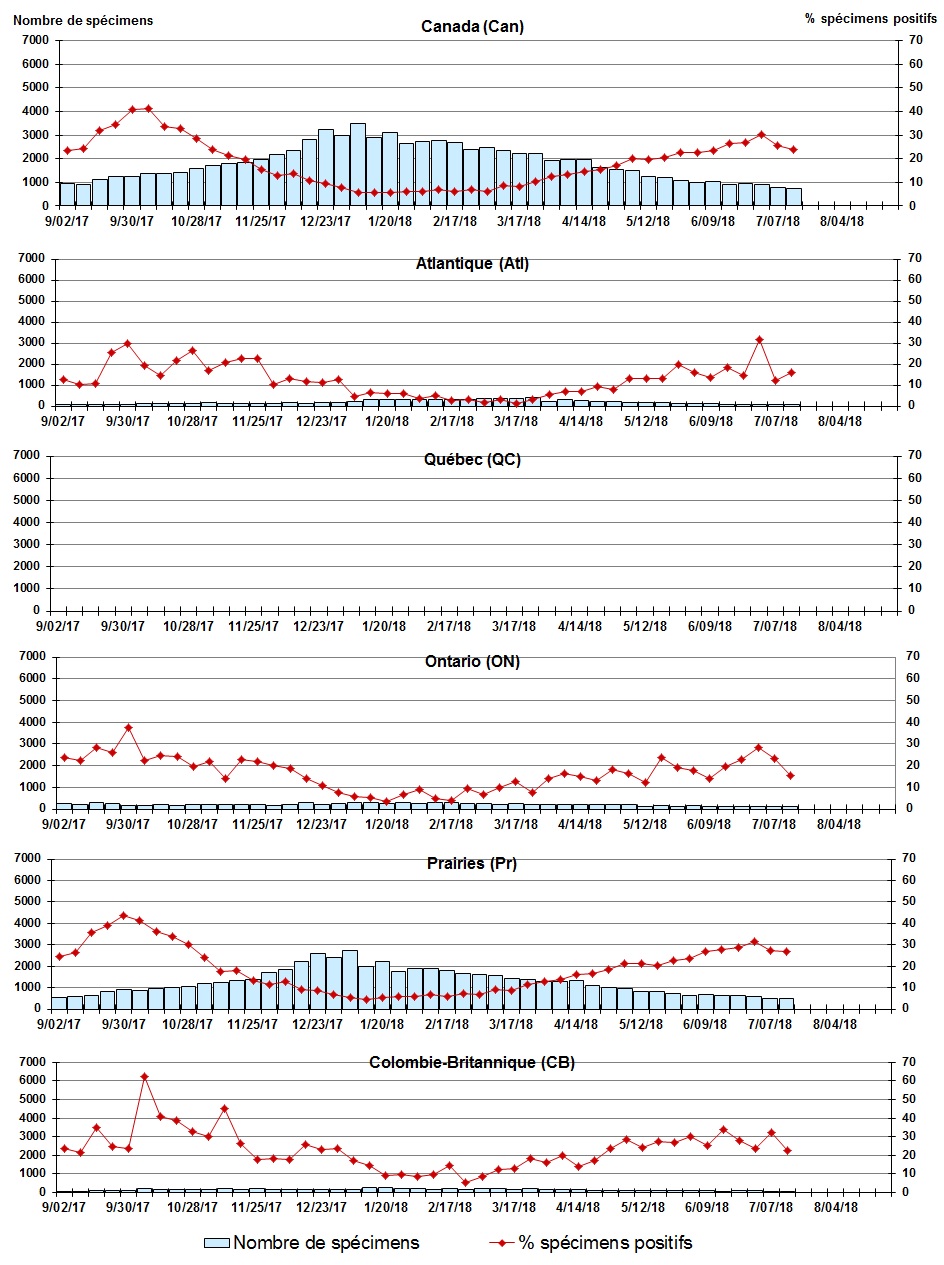 Figure 7. La version textuelle suit.