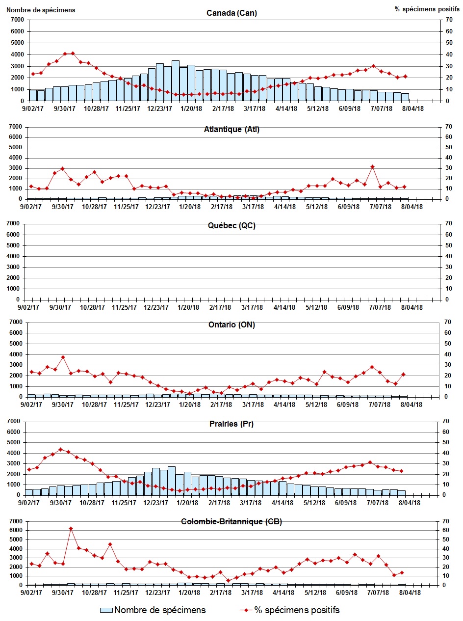 Figure 7. La version textuelle suit.