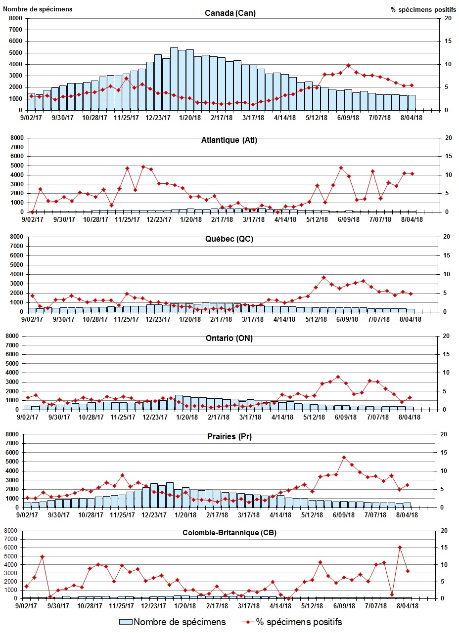 Figure 4. La version textuelle suit.