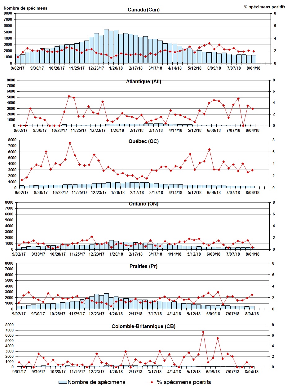 Figure 5. La version textuelle suit.